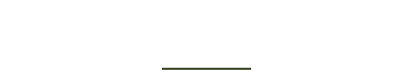 おすすめメニュー